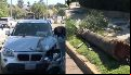 Conductor se descompensó mientras manejaba, chocó contra una palmera y la arrastró varios metros: "Se le apagó la tele"