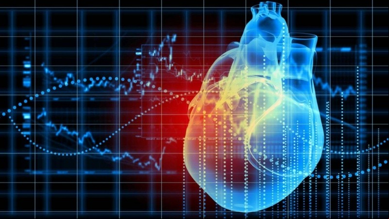 El descubrimiento también ofrece nuevas estrategias para desarrollar en medicina regenerativa y bioingeniería de tejidos.