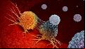 Además de mostrar mayor probabilidad de haber eliminado completamente el cáncer al momento de la cirugía, los pacientes estudiados presentaron menores tasas de recaída.