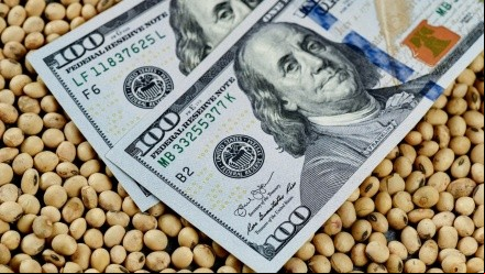 Agroactiva será la caja de resoncia de la agroindustria esta semana.