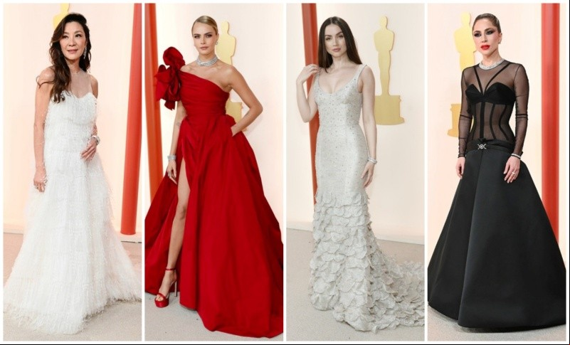 alfombra roja red carpet alfombra roja red carpet