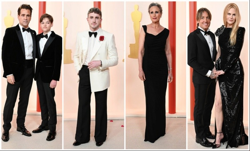alfombra roja red carpet alfombra roja red carpet