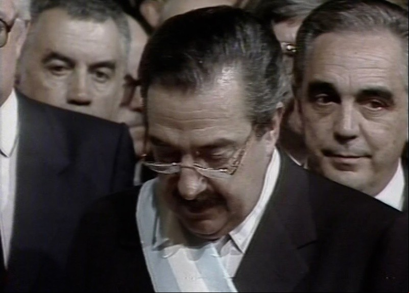alfonsin alfonsin