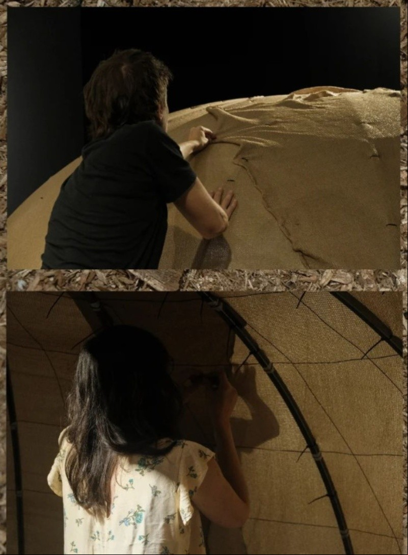 Muestra Calilegua Muestra Calilegua