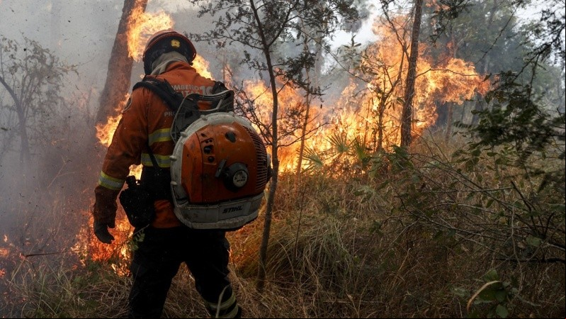 Bomberos brasileños luchan contra el fuego en Pantanal Bomberos brasileños luchan contra el fuego en Pantanal